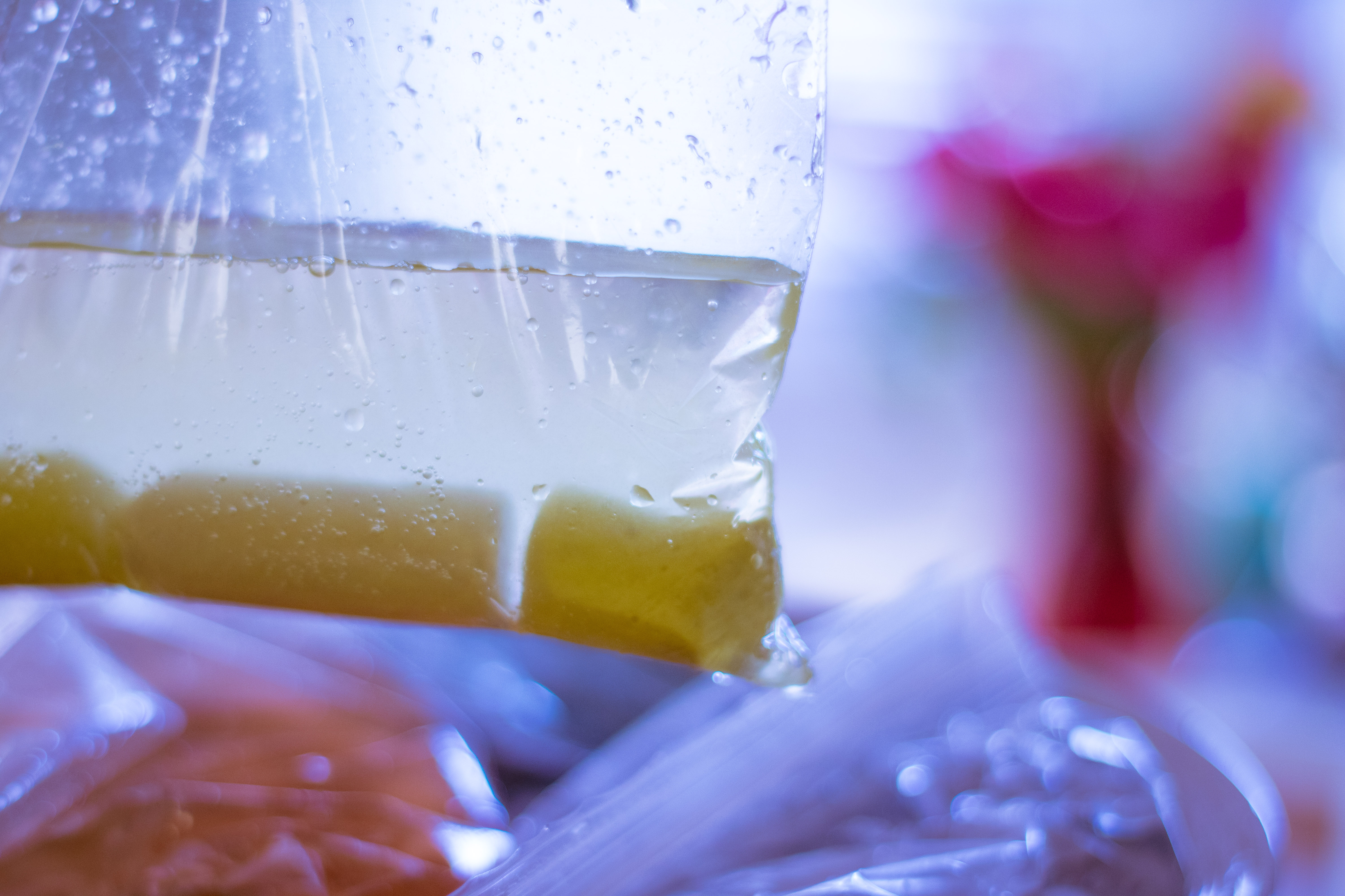 Yellow chalk covered in water in a plastic bag to make sidewalk chalk paint